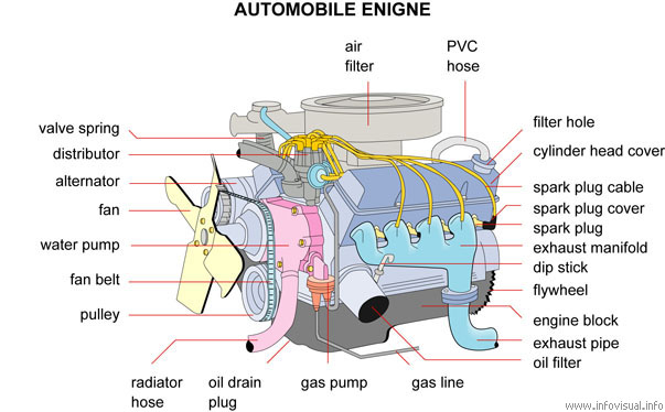 Automobile engine