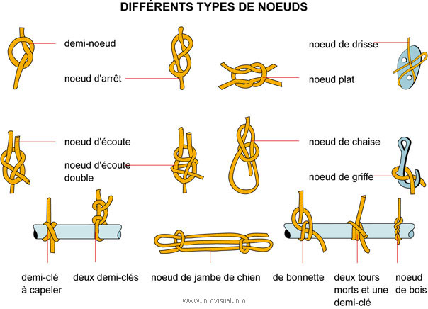 Noeuds
